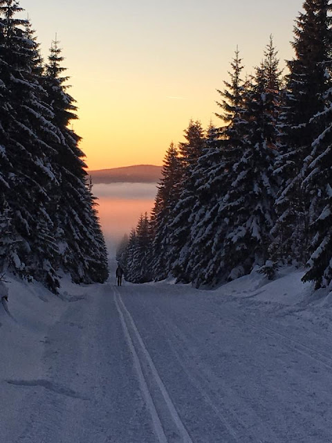 zwidokiemnagory.pl w góry z psem, karkonosze z psem, izery z psem